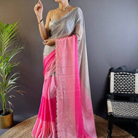 Zarocan Stone Cut Work Border Saree
