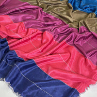Radiant Multi Color Zarocan Saree
