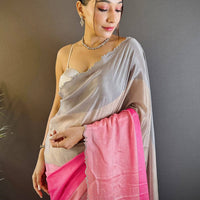 Zarocan Stone Cut Work Border Saree