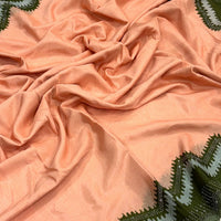 Peach Soft Chinnon Swarovski Work Saree
