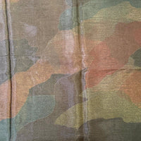 Opulent Freehand Abstract Chinnon Saree